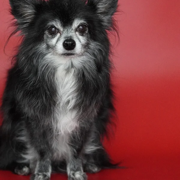 捕鱼游戏捕鱼游戏